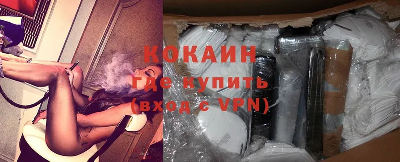 Cocaine FishScale  купить наркотики сайты  Каргополь 